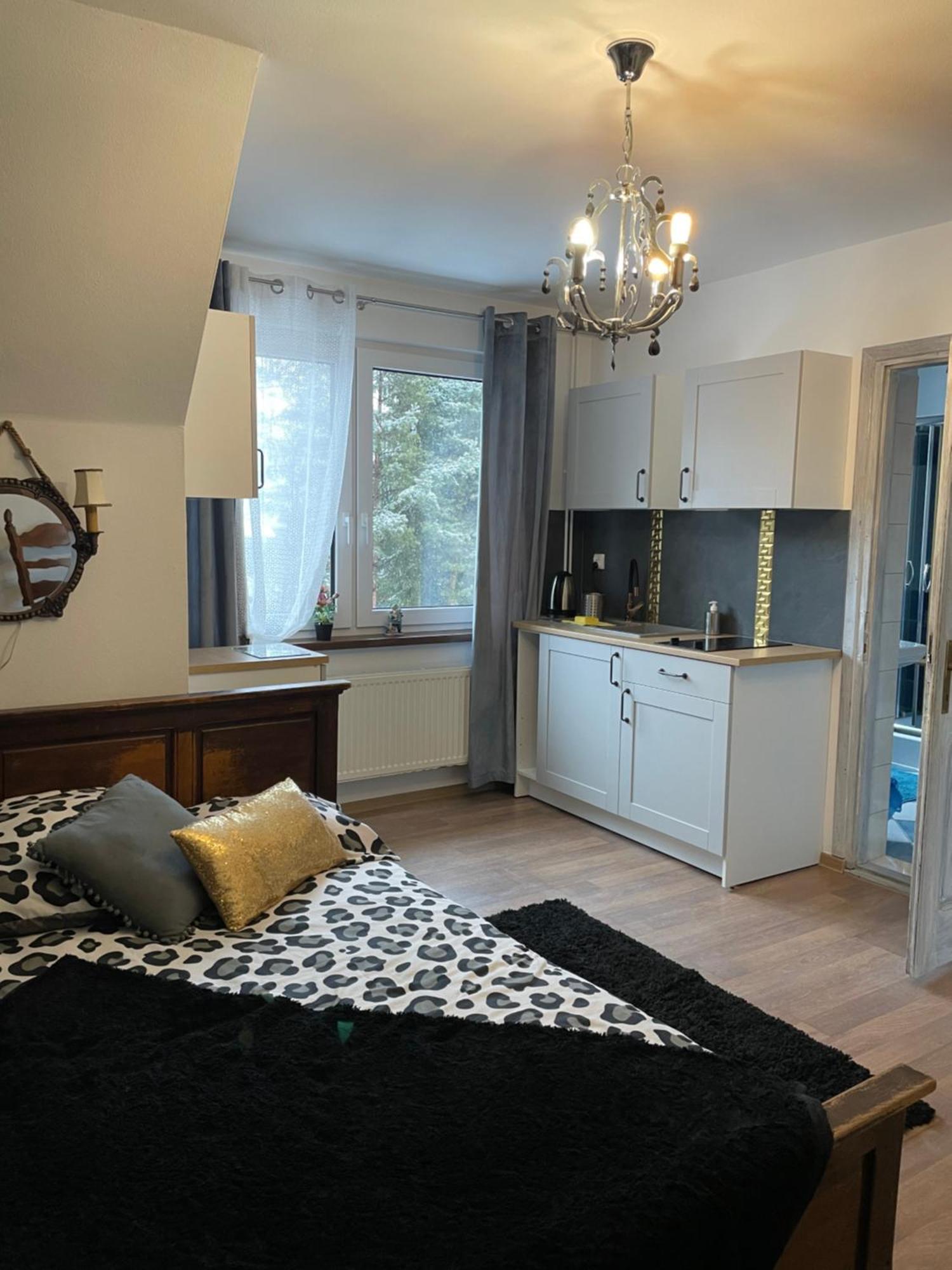 Apartamenty I Pokoje U Staszelow ポロニン エクステリア 写真