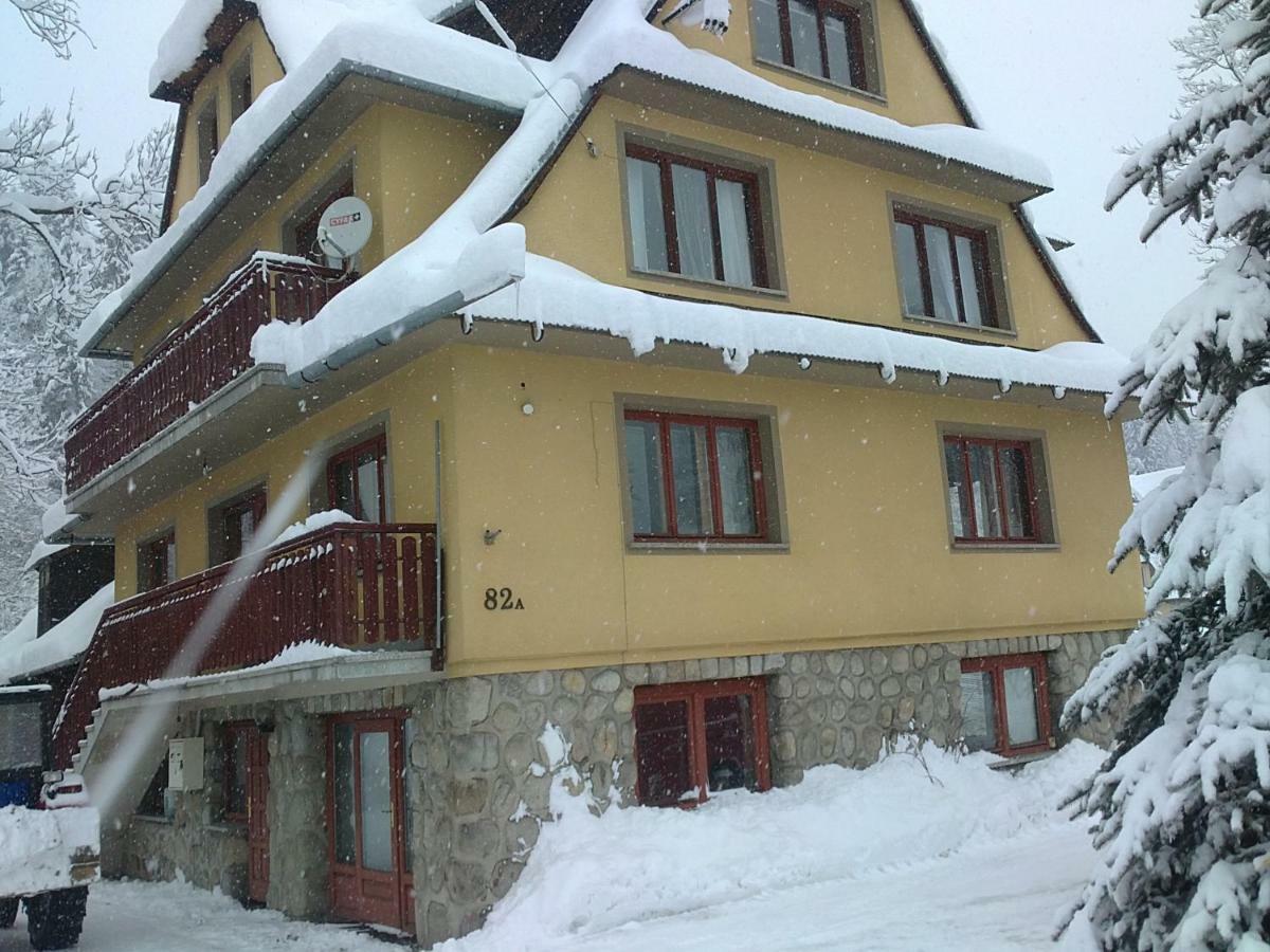 Apartamenty I Pokoje U Staszelow ポロニン エクステリア 写真