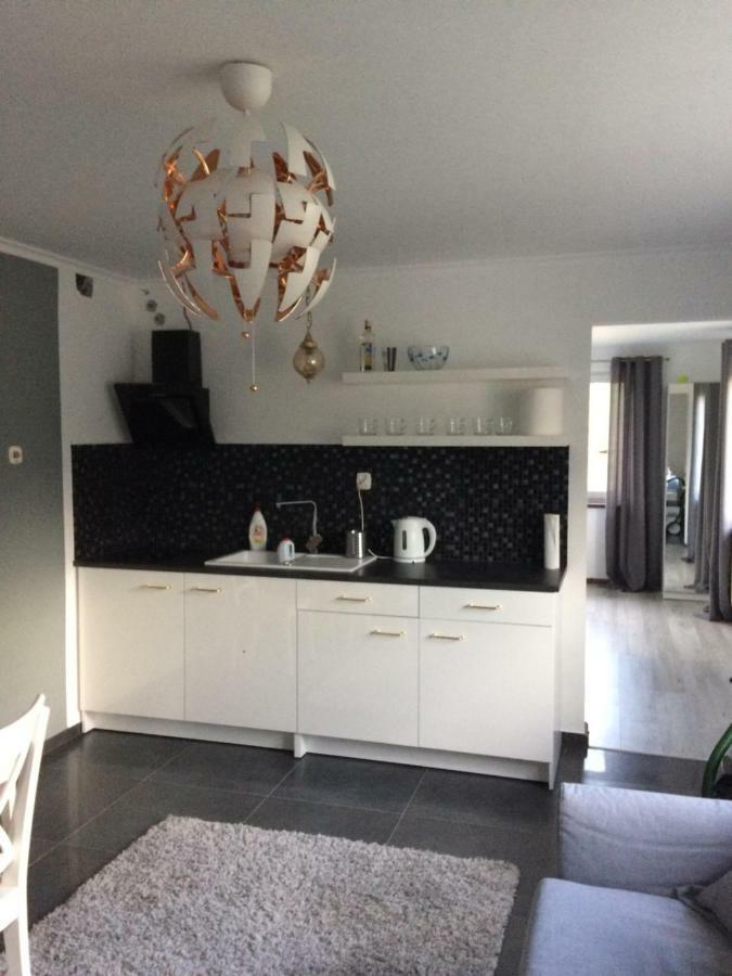 Apartamenty I Pokoje U Staszelow ポロニン エクステリア 写真